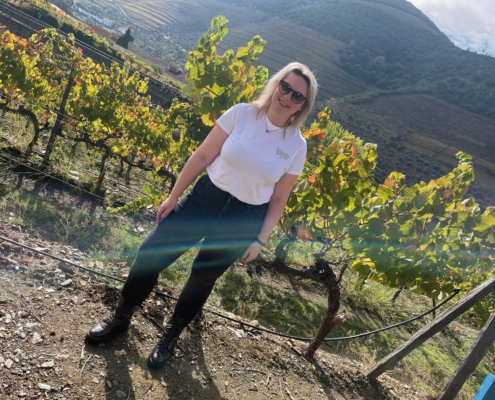 Bezoek Douro wijnregio